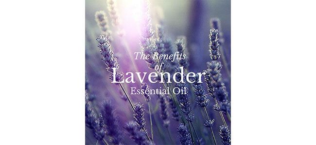 Louella Belle Benefits Of Lavendar Oil